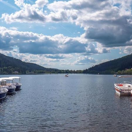 Studio Cosy Ambiance Vosgienne A 20 Mn De Gerardmer Lepanges-sur-Vologne Buitenkant foto