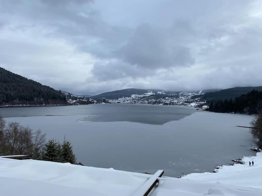 Studio Cosy Ambiance Vosgienne A 20 Mn De Gerardmer Lepanges-sur-Vologne Buitenkant foto