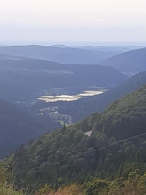 Studio Cosy Ambiance Vosgienne A 20 Mn De Gerardmer Lepanges-sur-Vologne Buitenkant foto