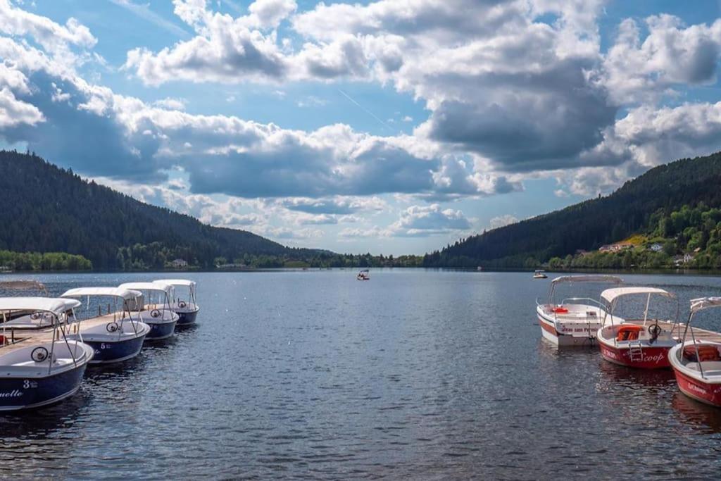 Studio Cosy Ambiance Vosgienne A 20 Mn De Gerardmer Lepanges-sur-Vologne Buitenkant foto