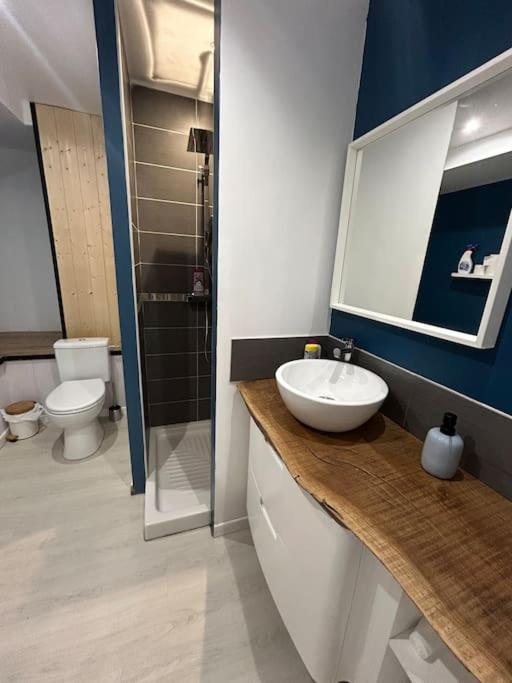 Studio Cosy Ambiance Vosgienne A 20 Mn De Gerardmer Lepanges-sur-Vologne Buitenkant foto