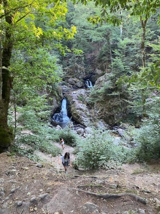 Studio Cosy Ambiance Vosgienne A 20 Mn De Gerardmer Lepanges-sur-Vologne Buitenkant foto