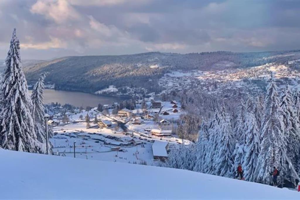 Studio Cosy Ambiance Vosgienne A 20 Mn De Gerardmer Lepanges-sur-Vologne Buitenkant foto